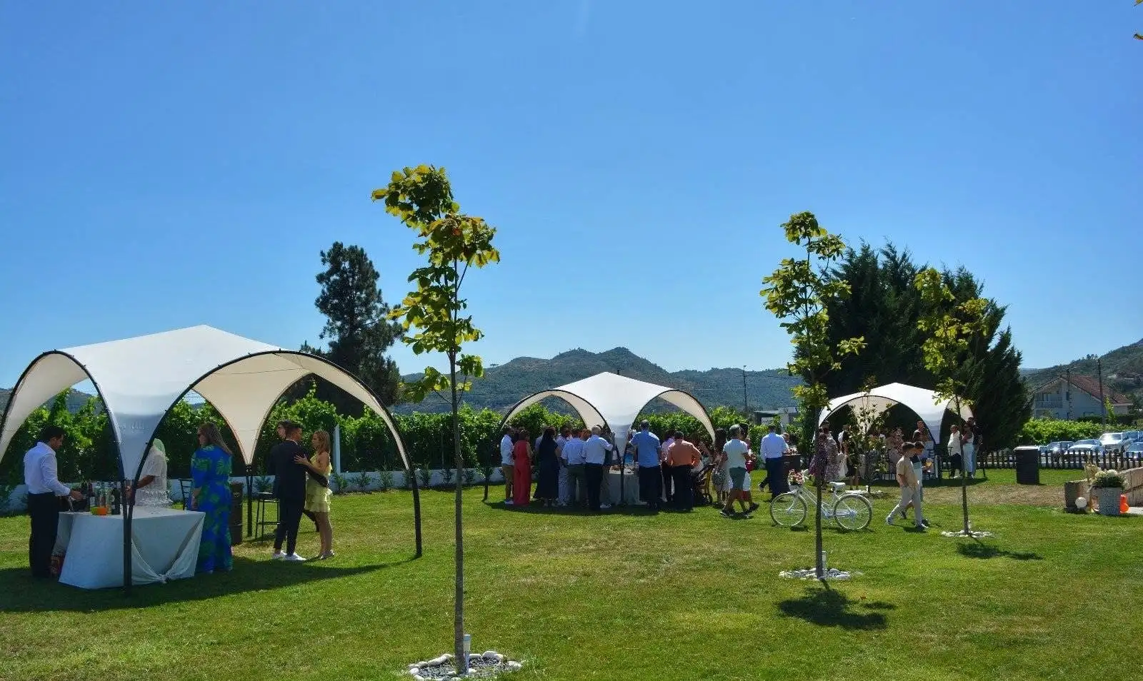 Invitados bajo toldos blancos sobre el césped, con árboles jóvenes y, al fondo, el viñedo y las montañas